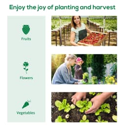 Polytunnel Greenhouse with Uv-Resistant Pe Cover, Grow House, 1.8 X 1.8 X 2m