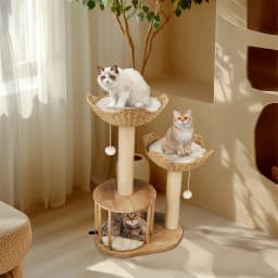 3-Tier Cat Climbing Tree Indoor Kittens Activity Center Tower with Scratching Post for Cat Furniture