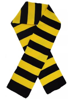 Striped Wizard Scarf - Yellow & Black, Maroon & Gold, Blue & Grey, or Green & Grey - Magical Accessory for Fancy Dress