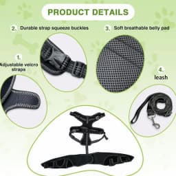 Dog Back Brace Pet Orthopedic Hip Hock Support Brace Adjustable Leg Support For Keeping Animal Joints Warm And Stable