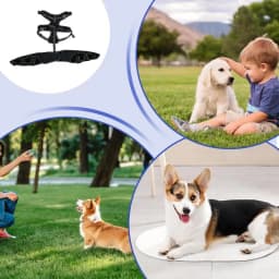 Dog Back Brace Pet Orthopedic Hip Hock Support Brace Adjustable Leg Support For Keeping Animal Joints Warm And Stable