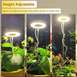 Plant Lights For Indoor Growing Telescopic Fill Lamp LED Full Spectrum Grow Lights For Indoor Plants With 360 Rotation