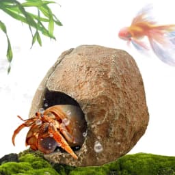 Aquarium Cave Fish Tank Shelter House Magnetic Detachable Fish Tank Decorative Shrimp Residence Magnetic Reptile Cave