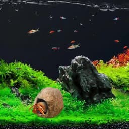 Aquarium Cave Fish Tank Shelter House Magnetic Detachable Fish Tank Decorative Shrimp Residence Magnetic Reptile Cave