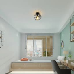 Black Hallway Ceiling Lights: Industrial Retro Cage Ceiling Lamp with Metal Lampshade, E27 Base