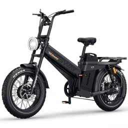 Tesway X7 AWD Electric Bike 52V 60Ah Battery 2000W Dual Motor Ebike 20x4.0'' Fat Tire Hydraulic Brakes E-Bike