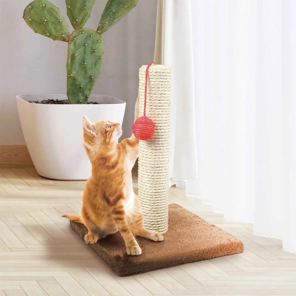 Cat Scratching Post, Durable Interactive Scratcher for Kittens and Cats Indoor Play