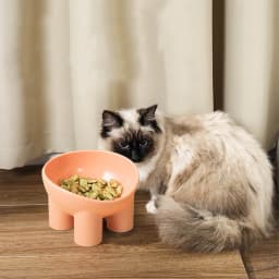 Tieker Anti-dumping Neck Guard Pet Feeding Bowl Macaron Color Cat Food Bowl Pet Feeding Supplies