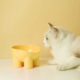 Tieker Anti-dumping Neck Guard Pet Feeding Bowl Macaron Color Cat Food Bowl Pet Feeding Supplies