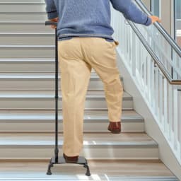 Stair Climbing Assist Cane, Adjustable Walking Stick, Stair Lift Aid for Seniors Adjustable Height For the Elderly, the Disabled