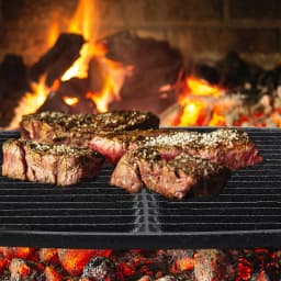 Voltsify Circular Cast Iron Grilling Grate, Dual Side Grid for BBQ Searing Vegetables, Fruits and Meats