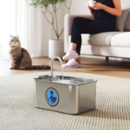 PawHut 3.2L Cat Water Fountain for Drinking Stainless Steel Ultra-Silent