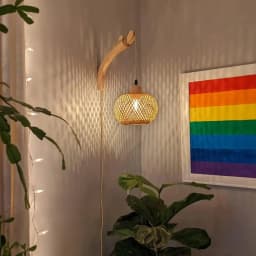 Hand Woven Bamboo Wall Lamp with Plug in Cord Farmhouse Rustic Boho Wall Sconces EU Plug Wall Lighting for Living Room Bedroom