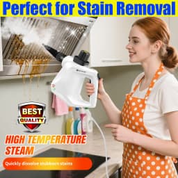 DayPlus 4500W Steam Cleaner High Temperature Jet Washer Range Hood for Kitchen Air Conditioner Car Clean Machine Home Appliances