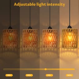 2 Pieces Pendant Lights with Light Bulbs with Remote Control,Rattan Lights, Bohemian Style Lights for Patio, Garden, Living Room