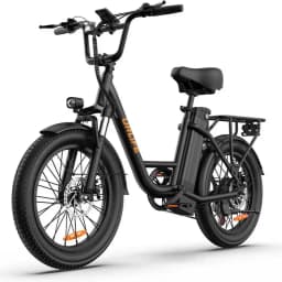 Electric Bike URLIFE 500W Powerful Motor 48V13AH Battery Short Trip E Bike Adult 20*3.0 In All-terrain Fat Tire Electric Bicycle