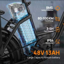 Electric Bike URLIFE 500W Powerful Motor 48V13AH Battery Short Trip E Bike Adult 20*3.0 In All-terrain Fat Tire Electric Bicycle