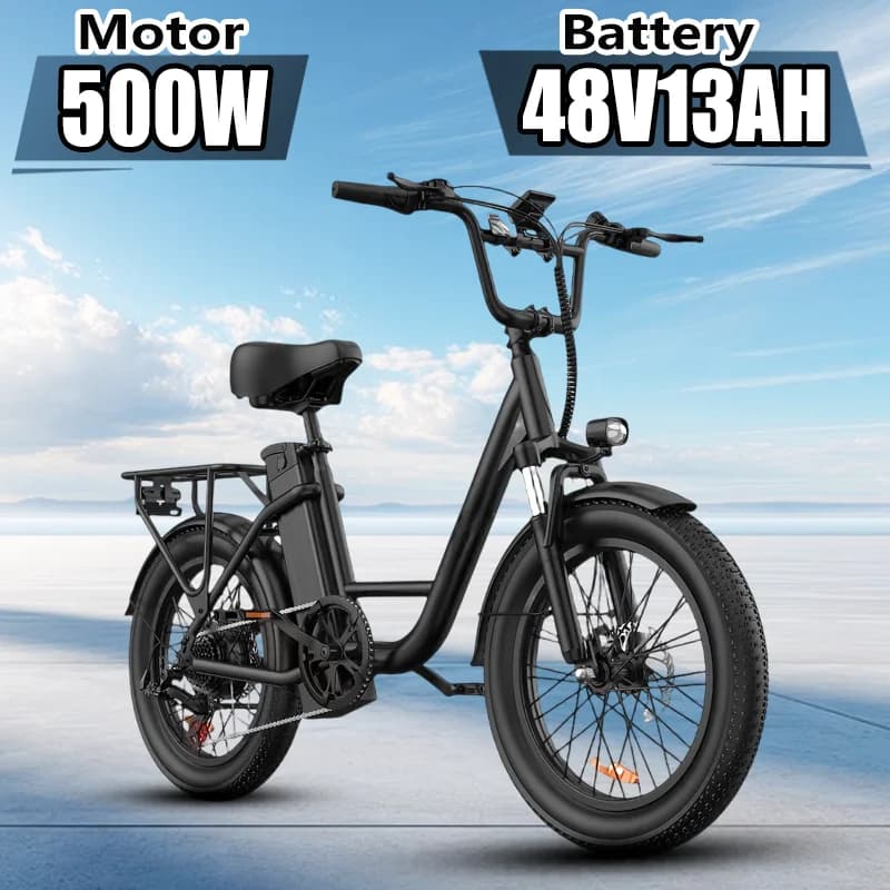Electric Bike URLIFE 500W Powerful Motor 48V13AH Battery Short Trip E Bike Adult 20*3.0 In All-terrain Fat Tire Electric Bicycle