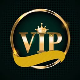 Taxes VIP VIP VIP 3