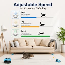 Remote Control Cat Race Toy Adjustable Speed,Automatic Cat String Chasing Toy DIY Custom Chase Route Cat Race Game,USB Rechargeable Interactive Cat Toy