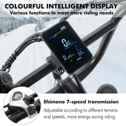 Hidoes B9 Electric Bike 750W Motor 48V33.8AH Battery 80-90km Range 7-Speed 20" Fat Tire Transmission Adult Electric Bicycle