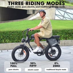Hidoes B9 Electric Bike 750W Motor 48V33.8AH Battery 80-90km Range 7-Speed 20" Fat Tire Transmission Adult Electric Bicycle