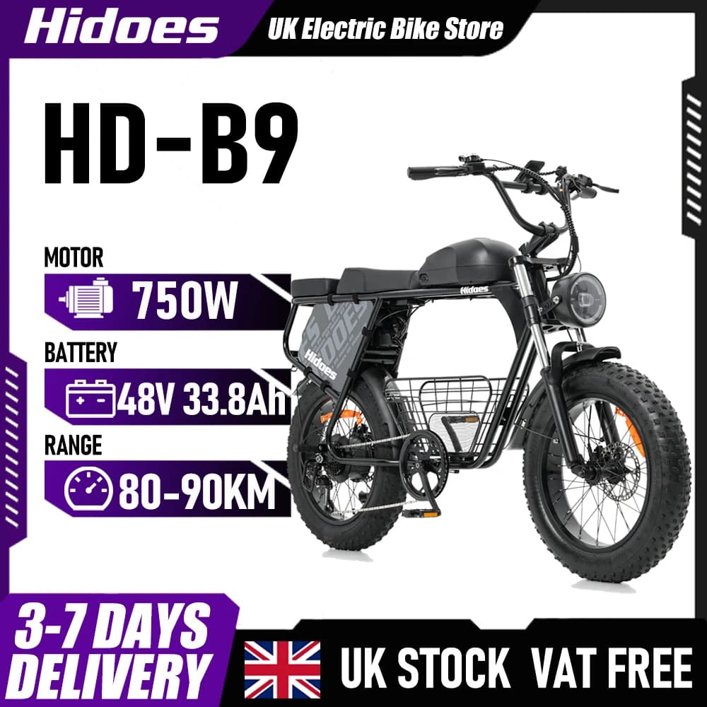 Hidoes B9 Electric Bike 750W Motor 48V33.8AH Battery 80-90km Range 7-Speed 20" Fat Tire Transmission Adult Electric Bicycle