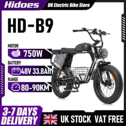 Hidoes B9 Electric Bike 750W Motor 48V33.8AH Battery 80-90km Range 7-Speed 20" Fat Tire Transmission Adult Electric Bicycle