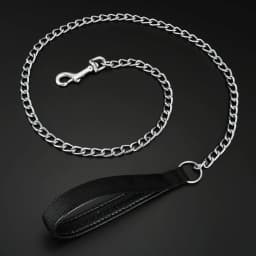 Metal Dog Leash, Integrated Dog Collar and Leash, 4ft Chew Proof Dog Chain Leash with P Chain Slip, Heavy Duty Sturdy Pet Dog Le