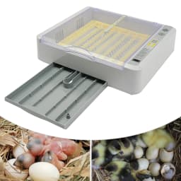 Egg Incubator Digital Poultry Hatcher Machine General Purpose Incubator with Automatic Egg Turning