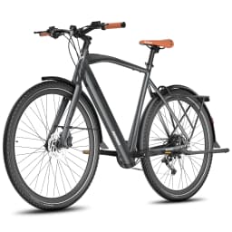 FAFREES F700M/F700W Adult Electric Bicycle 250W Motor City Electric Bicycle 36V10Ah Battery 700*42C Tire Commuter E-bike