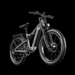 Electric Bicycle for Men, E-Mountain ebike, 2 Motors, 48V17.5AH840WH Battery,26 Inch Wide Tyre, S600, 2000W