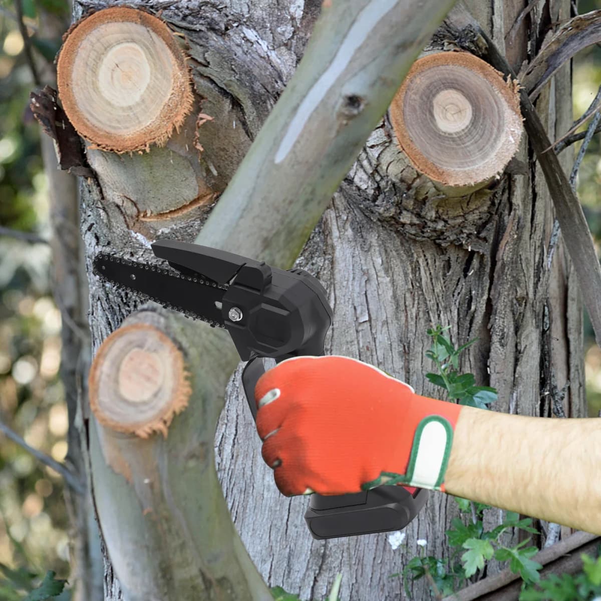 2-in-1 Cordless Pole Saw, Long-Handled Telescopic Tree Pruner, Cordless Long-Arm Saw, Suitable for Wood Cutting, Garden Pruning