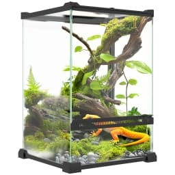 PawHut Glass Reptile Terrarium, 12L Vivarium for Lizards, Frogs, Snakes, Turtles, Tortoises, with Ventilation