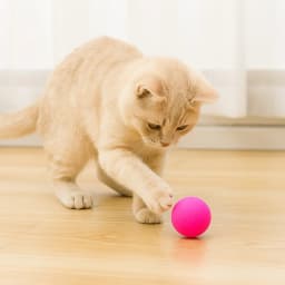 Glow in the Dark Dog Ball, Large Durable Chew Toy for Play and Outdoor Fun, Floating and Non-Toxic