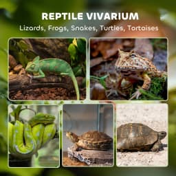 PawHut Glass Terrarium, Reptile Vivarium with Stone Background, Black