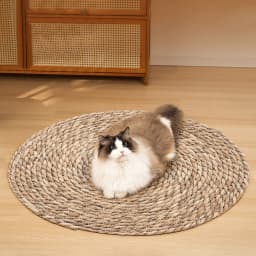 Tieker round floor cat scratching mat woven sleeping mat wear-resistant pet cat scratching mat sharpening claws