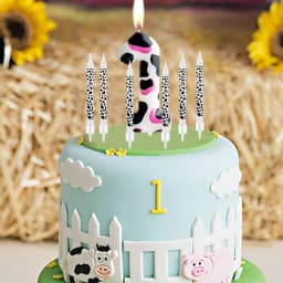 7pcs Birthday Number Candle,Pink Cow Candles Cow Im One Decorations,Cowgirl Theme Girls Party Décor