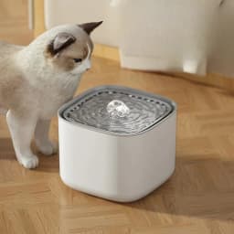 3L Large Capacity Pet Water Fountain, Automatic Circulating Filter Water Dispenser for Dogs & Cats with USB Port