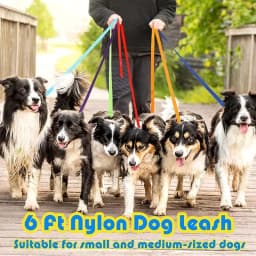 5m Overlength Dog Leash Durable Nylon Puppy Lead for Small Medium Large Dogs Walking Training Camping Accesorios Dog Chain