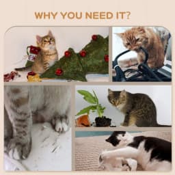 PINGGO 4PCS Wall Mounted Cat Shelves with Scratching Post, Hammock, Nest Dark Durable, Soft and Comfortable Appearance