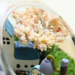 Planter Terrariums Glass Round Terrarium Fish Bowl Plant Flowerpot Vase Air Plant Container Glass Home Decoration Display