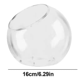 Planter Terrariums Glass Round Terrarium Fish Bowl Plant Flowerpot Vase Air Plant Container Glass Home Decoration Display