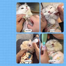 Grooming Cat Fabric Wrap Fabric Anti-Bite Anti-Escape Adhesive Cat Wrap Screen Cleaning Cloth Cat Claw Care Adherent Restraint