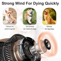 Dog Hair Dryer Professional 2800W Low Noise with 3 Nozzles & Extendable Hose Animal Fur Heater Hairdryer Grooming Blaster