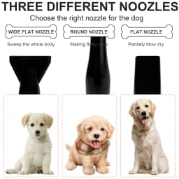 Dog Hair Dryer Professional 2800W Low Noise with 3 Nozzles & Extendable Hose Animal Fur Heater Hairdryer Grooming Blaster