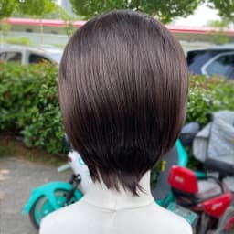 Natural Brown Short Bob Cut Synthetic Lace Front Wigs for Women Cosplay Wigs for Men Hairline Glueless 13x4 Lace Front Wigs
