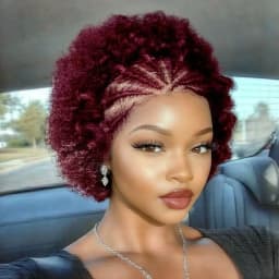 Afro Curly Wigs Colorful Human Hair Wigs with Braids 13×4 Lace Front Wig Remy Human Hair Wig for Women