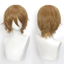 35cm Short Black Spiky Cosplay Wig Pre-Teased Crown Heat Resistant Synthetic Wig Layered Flipped-out Universal Anime Wig