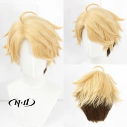 ND Arashi Narukami Cosplay Wigs Hairpiece The Ensemble Stars Cosplay Hair Wigs for Comic Con Coser Costume Party Heat Resistant